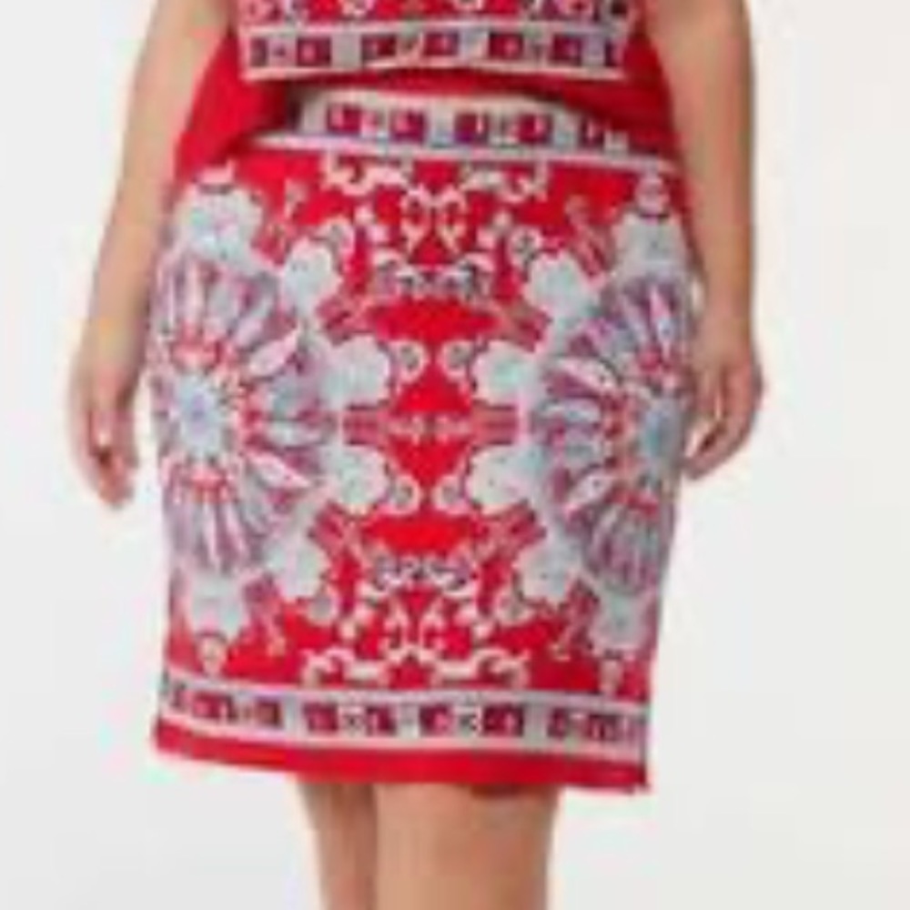 Cato Skirt - Picture 7 of 9